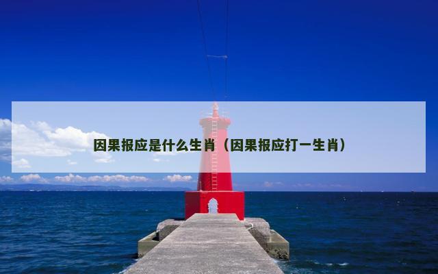 因果报应是什么生肖（因果报应打一生肖）