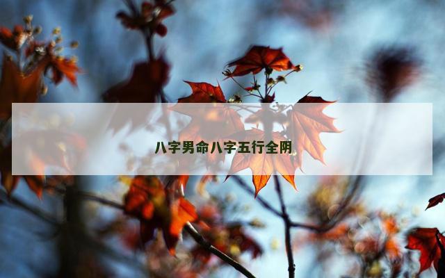 八字男命八字五行全阴