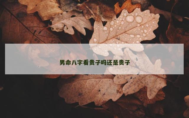 男命八字看贵子吗还是贵子
