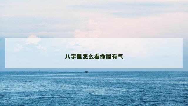 八字里怎么看命局有气