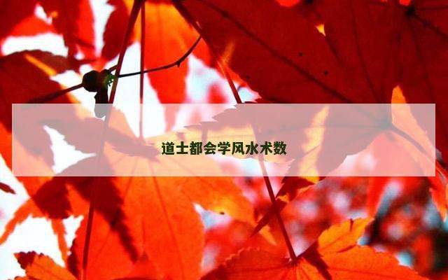 道士都会学风水术数