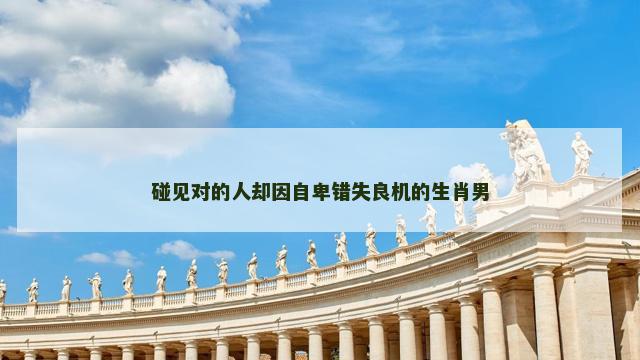 碰见对的人却因自卑错失良机的生肖男