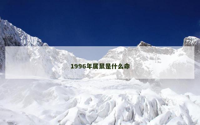1996年属鼠是什么命
