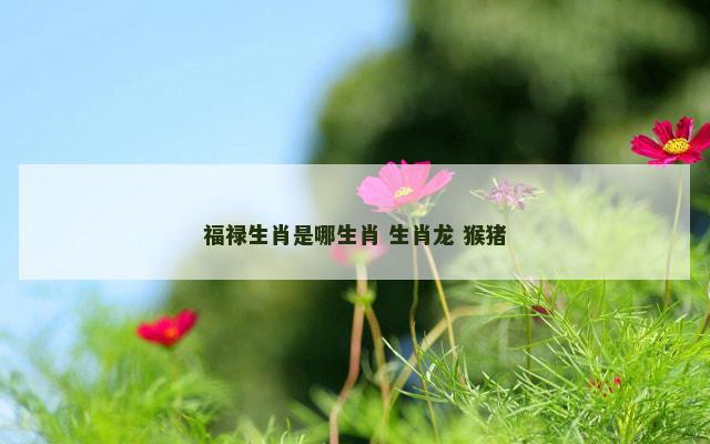 福禄生肖是哪生肖 生肖龙 猴猪