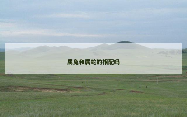 属兔和属蛇的相配吗