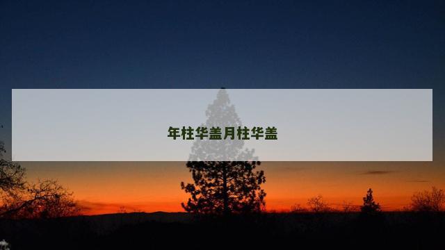年柱华盖月柱华盖
