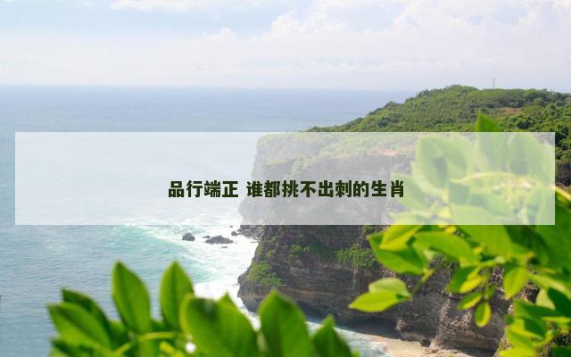 品行端正 谁都挑不出刺的生肖