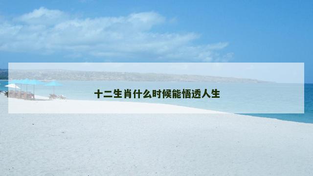 十二生肖什么时候能悟透人生