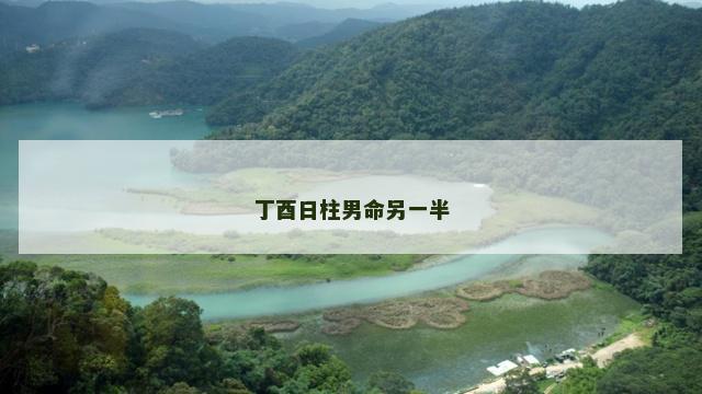 丁酉日柱男命另一半