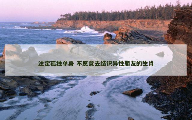 注定孤独单身 不愿意去结识异性朋友的生肖