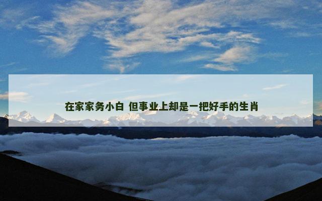 在家家务小白 但事业上却是一把好手的生肖