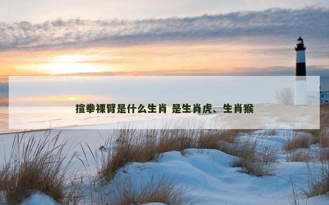 揎拳裸臂是什么生肖 是生肖虎、生肖猴
