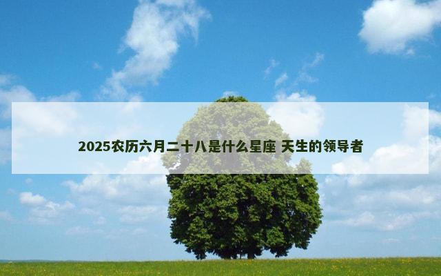 2025农历六月二十八是什么星座 天生的领导者