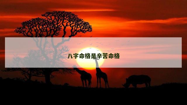 八字命格是辛苦命格