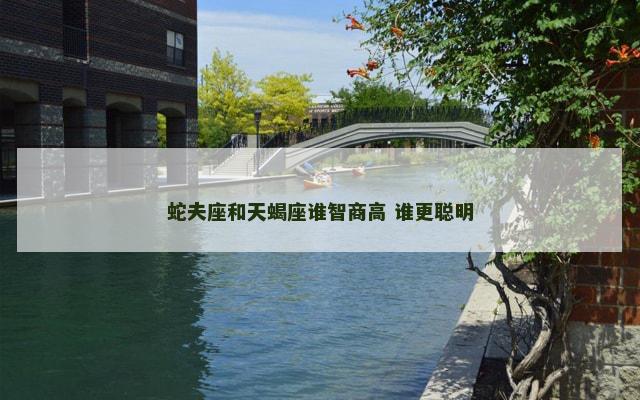 蛇夫座和天蝎座谁智商高 谁更聪明