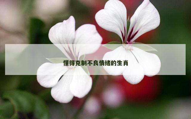 懂得克制不良情绪的生肖