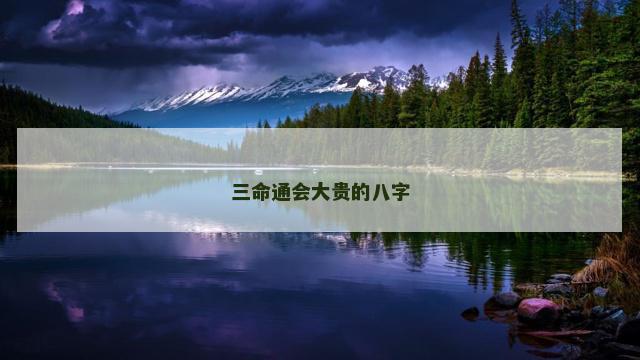 三命通会大贵的八字