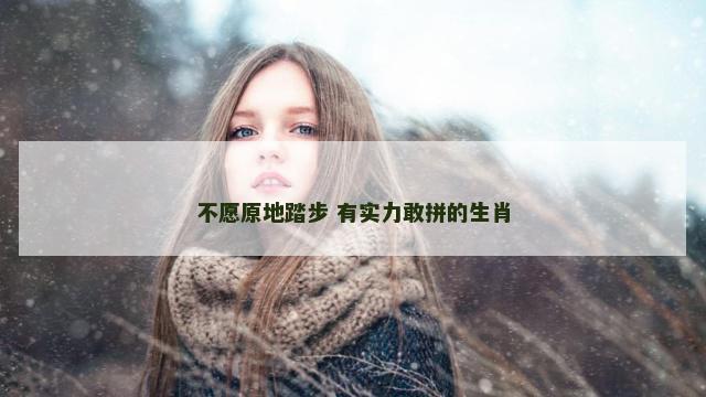 不愿原地踏步 有实力敢拼的生肖