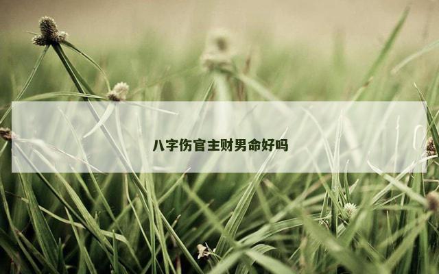 八字伤官主财男命好吗