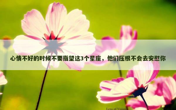 心情不好的时候不要指望这3个星座，他们压根不会去安慰你