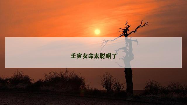 壬寅女命太聪明了