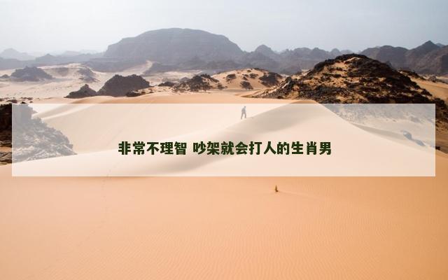 非常不理智 吵架就会打人的生肖男