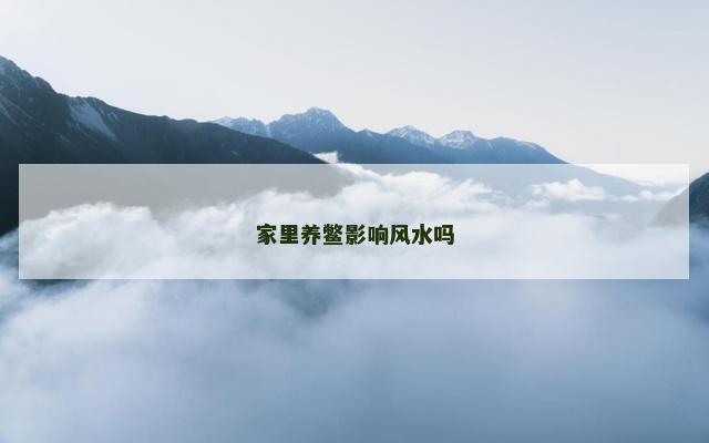 家里养鳖影响风水吗