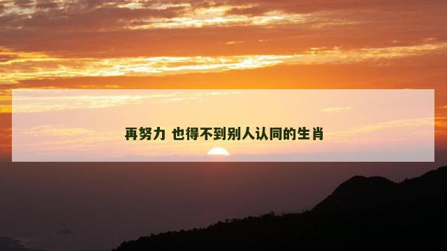 再努力 也得不到别人认同的生肖
