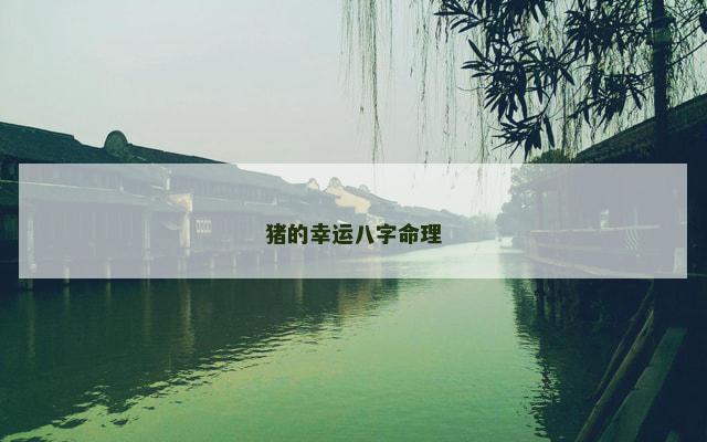 猪的幸运八字命理
