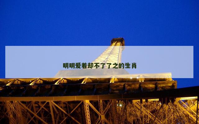 明明爱着却不了了之的生肖