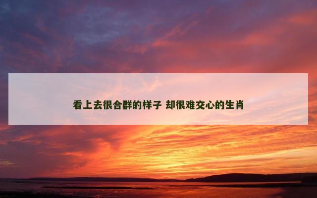 看上去很合群的样子 却很难交心的生肖