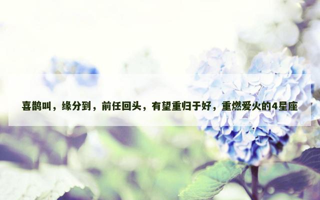 喜鹊叫，缘分到，前任回头，有望重归于好，重燃爱火的4星座