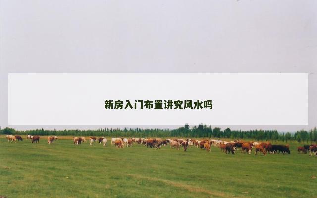 新房入门布置讲究风水吗