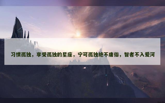 习惯孤独，享受孤独的星座，宁可孤独绝不庸俗，智者不入爱河