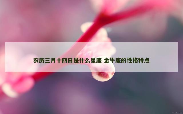 农历三月十四日是什么星座 金牛座的性格特点