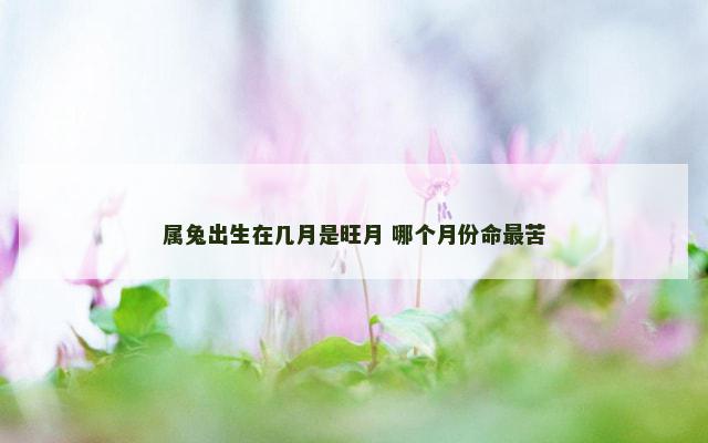 属兔出生在几月是旺月 哪个月份命最苦
