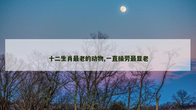 十二生肖最老的动物,一直操劳最显老