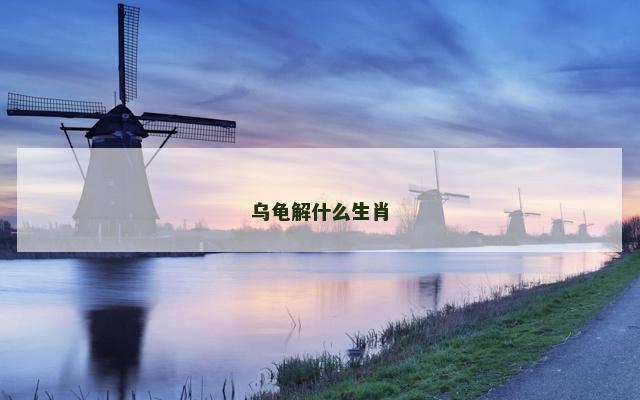 乌龟解什么生肖