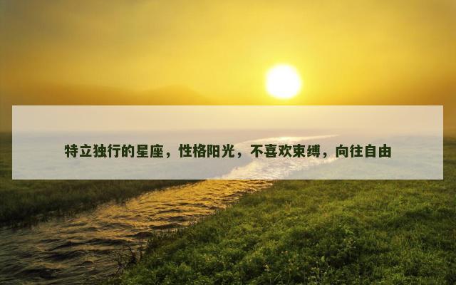 特立独行的星座，性格阳光，不喜欢束缚，向往自由