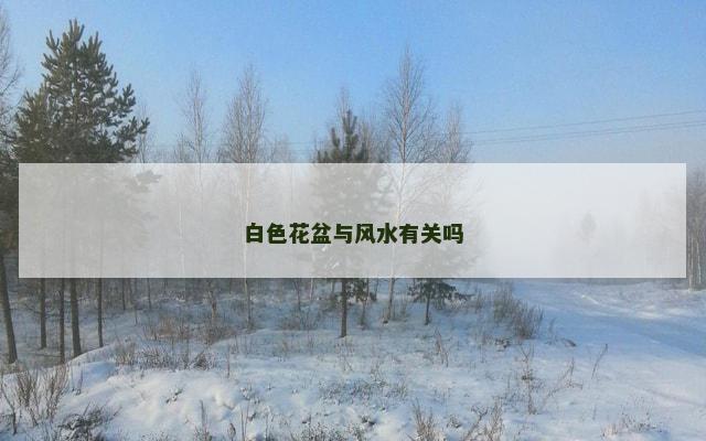 白色花盆与风水有关吗
