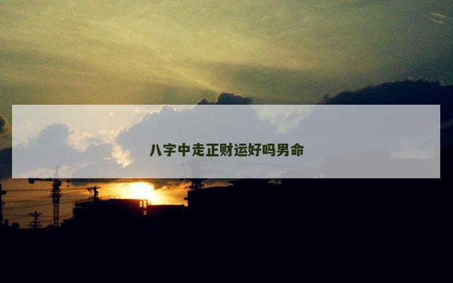八字中走正财运好吗男命