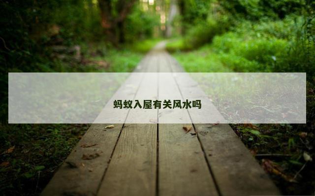 蚂蚁入屋有关风水吗