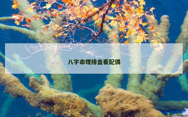 八字命理排盘看配偶