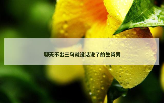 聊天不出三句就没话说了的生肖男