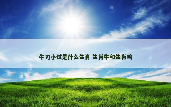 牛刀小试是什么生肖 生肖牛和生肖鸡