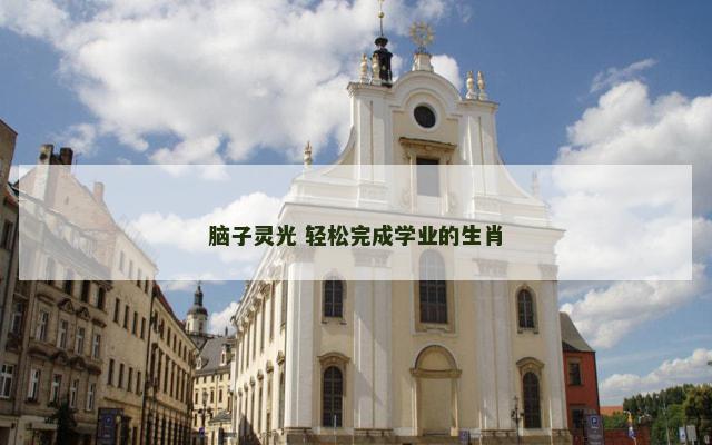 脑子灵光 轻松完成学业的生肖