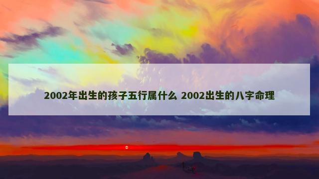 2002年出生的孩子五行属什么 2002出生的八字命理