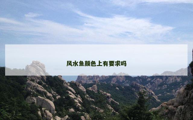 风水鱼颜色上有要求吗