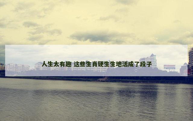 人生太有趣 这些生肖硬生生地活成了段子