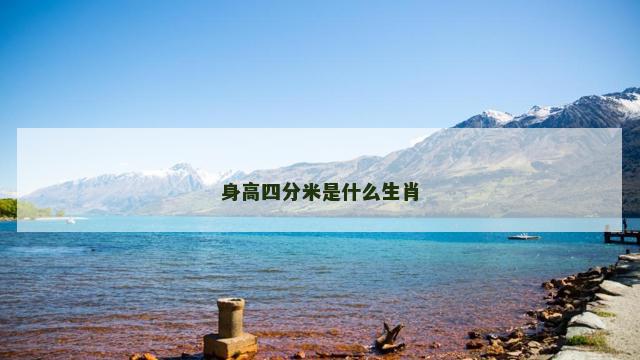 身高四分米是什么生肖